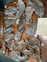 natural oud from Burma Myeik